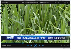 什邡：农技人员深入田间“把脉” 确保冬小麦安全越冬