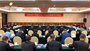 1月24日上午，省十四届人大二次会议德阳代表团举行第四次全体会议