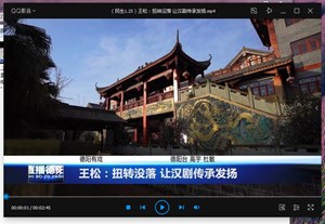 王松：扭转没落 让汉剧传承发扬