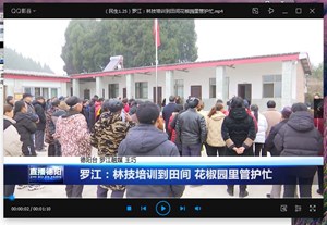罗江：林技培训到田间 花椒园里管护忙