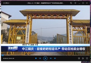 中江辑庆：甜蜜耙耙柑迎丰产 带动百姓就业增收