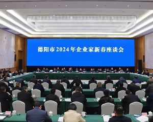 始终坚持“两个毫不动摇”“三个没有变” 全力护航企业深耕实业行稳致远