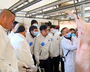 旌阳：加强动物疫病防控 官方兽医同台竞技