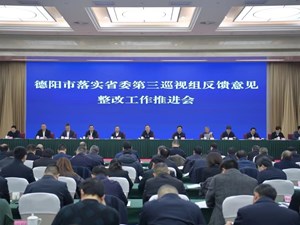 以钉钉子精神推进巡视整改工作 扎实做好巡视整改“后半篇文章”