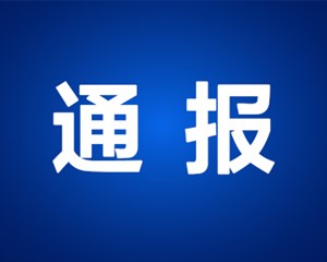 德阳市纪委监委通报！多人被处分