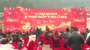 看演出话团圆 中江苕坡“村”晚就是不一般