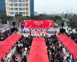 春风送岗促就业 精准服务促发展