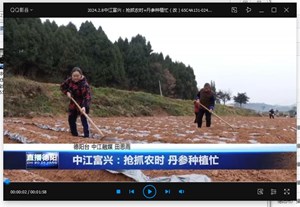 中江富兴：抢抓农时 丹参种植忙  