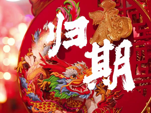 今天被这个视频刷屏了！这才是回家过年的意义