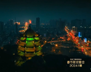 昨晚，德阳上春晚了！火爆朋友圈！看到了钟鼓楼、凹街、文庙……