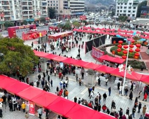 “春风行动”送岗 数万个岗位现场招聘