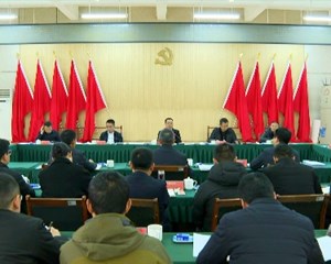 因地制宜发展特色产业 打造全域土地综合整治“德阳样板”