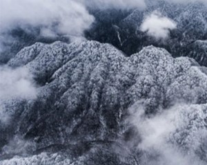 报！四川多地下雪了！洗好的羽绒服又翻出来了