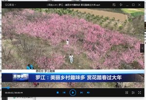 罗江：美丽乡村趣味多 赏花踏春过大年