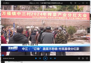 中江：“订单”蔬菜不愁销 村民喜领分红款  