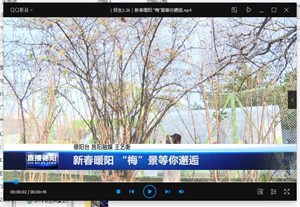 新春暖阳 “梅”景等你邂逅