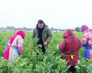 抢抓农时备春耕 强化监管促生产