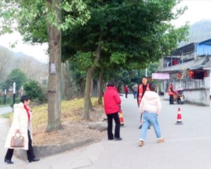 绵竹：空地联动 筑牢扎紧森林防火屏障
