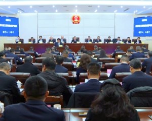 卢也主持召开市九届人大常委会第十七次会议