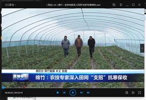 绵竹：农技专家深入田间“支招”抗寒保收