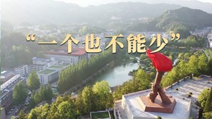 总书记关心的事｜“一个也不能少”