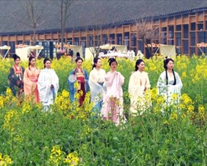 油菜花开春意浓 踏春赏花正当时