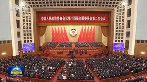 独家视频丨全国政协十四届二次会议开幕 习近平等党和国家领导人出席大会
