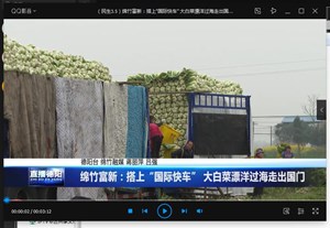 绵竹富新：搭上“国际快车” 大白菜漂洋过海走出国门