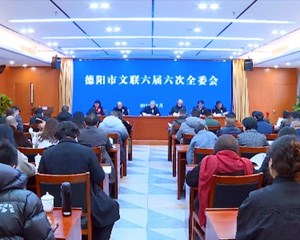 市文联召开六届六次全委会 