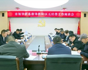 市领导调研指导旌阳区五经普工作