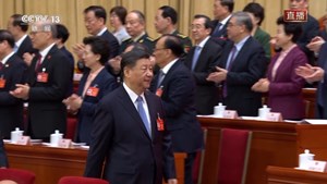 独家视频丨十四届全国人大二次会议举行第二次全体会议 习近平等党和国家领导人出席