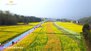 当年德阳援建地，如今已成大花园！