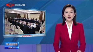 四川代表团分组审议“两高”工作报告等