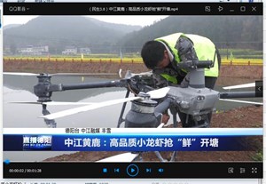 中江黄鹿：高品质小龙虾抢“鲜”开塘