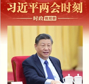 习近平两会时刻丨为了“持久的蓝天”