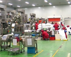 铆足干劲搞建设 开足马力忙生产