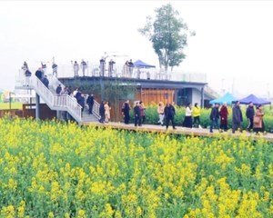 旌阳：汇聚文学力量 助力新农村建设