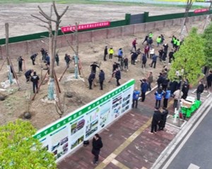 德阳：春回大地万物生 植树添绿正当时