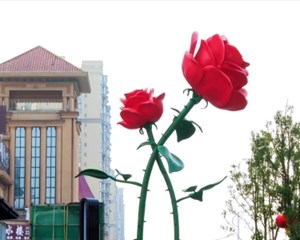 发挥百强区担当 建设“宜业宜商”现代化旌阳