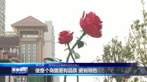 发挥百强区担当 建设“宜业宜商”现代化旌阳