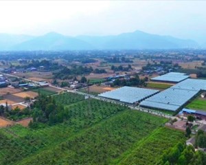 德阳：抢修水利引活水 疏浚保畅助春灌