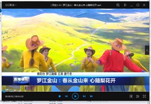 罗江金山：春从金山来 心随梨花开