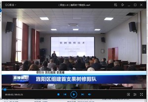 旌阳区组建首支果树修剪队