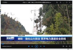 德阳：强化山火防治 筑牢电力通道安全防线
