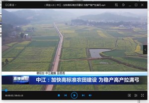 中江：加快高标准农田建设 为稳产高产拉满弓