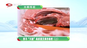 《问您所“？”》探寻“川猪”高质量发展的秘密（上）