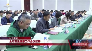 全市卫生健康工作会议召开