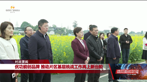 四川省基层统战工作成都片区联盟2024年第一次联席会议在我市召开