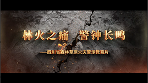 《林火之痛，警钟长鸣》