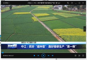 中江：抓好“建种管” 跑好春耕生产“第一棒”